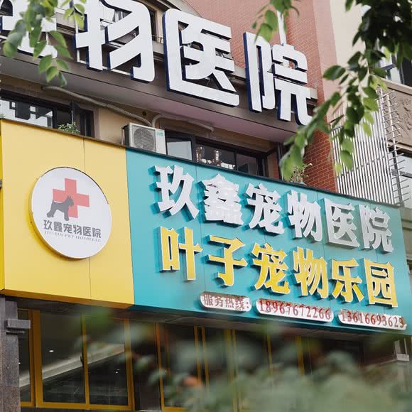 玖鑫宠物医院+叶子宠物乐园:台州市椒江区西商务区附近