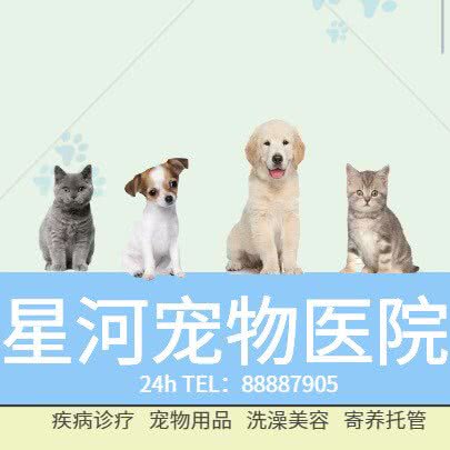 星河宠物医院:台州市椒江区商业街商区附近