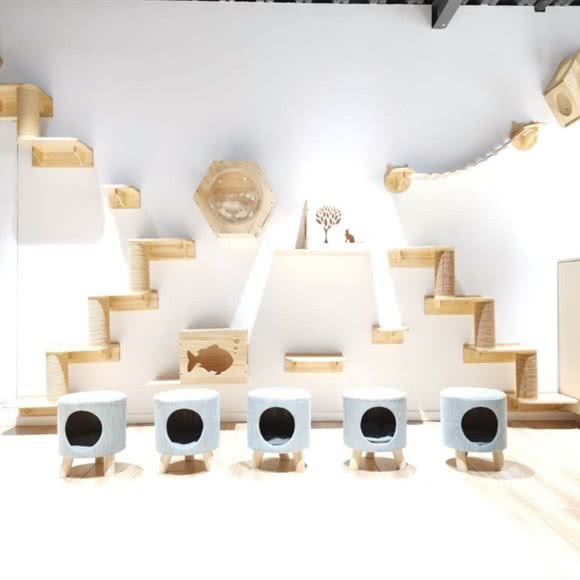 听TA说宠咖·宠物生活馆:台州市椒江区万达广场附近