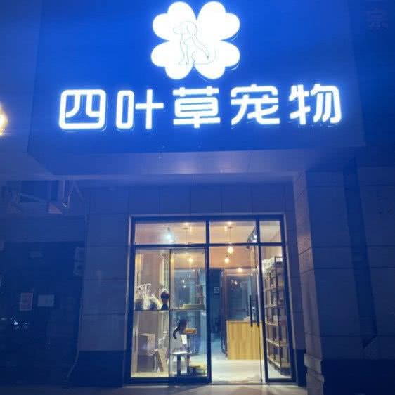 四叶草狗狗:台州市椒江区万达广场附近