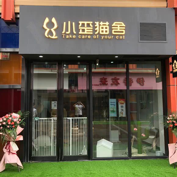 小歪猫舍:台州市椒江区万达广场附近