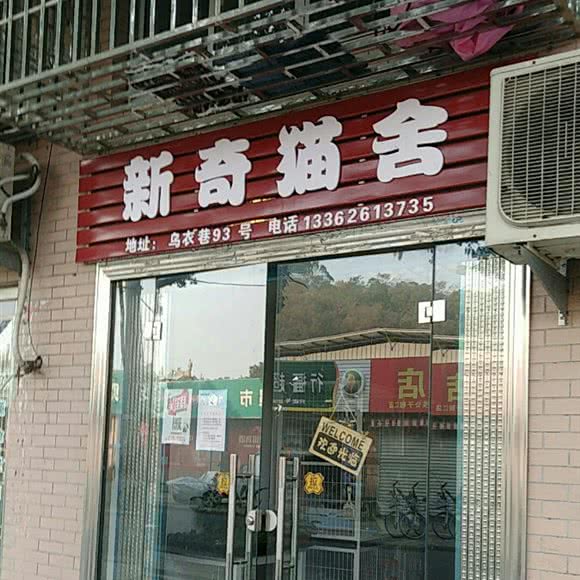 新奇猫舍:台州市椒江区东山公园附近