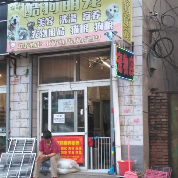 酷狗萌宠:北京城区昌平区北七家附近