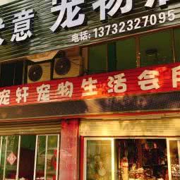 恋宠轩宠物生活会所(黄岩店):台州市黄岩区桔香楼附近