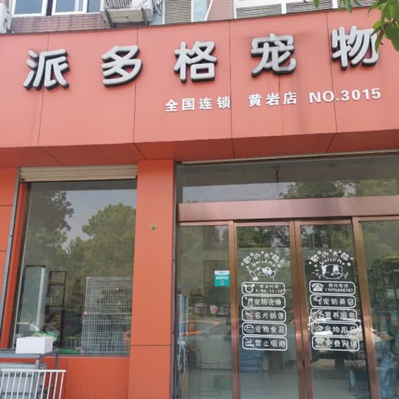 派多格宠物狗:台州市黄岩区台州客运西站附近