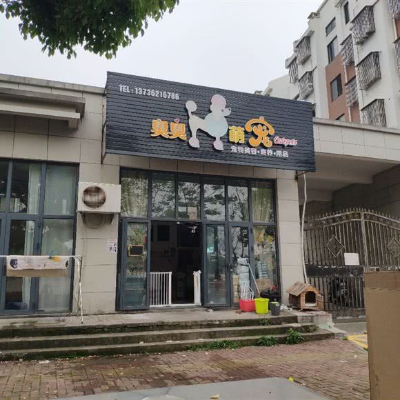 臭臭萌宠:台州市黄岩区东城区附近