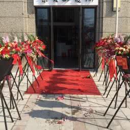 亲爱的宠物:台州市黄岩区北城区附近