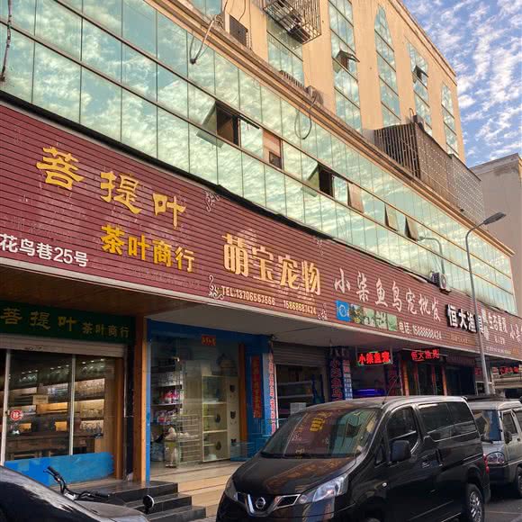 萌宝宠物:台州市路桥区富仕广场附近