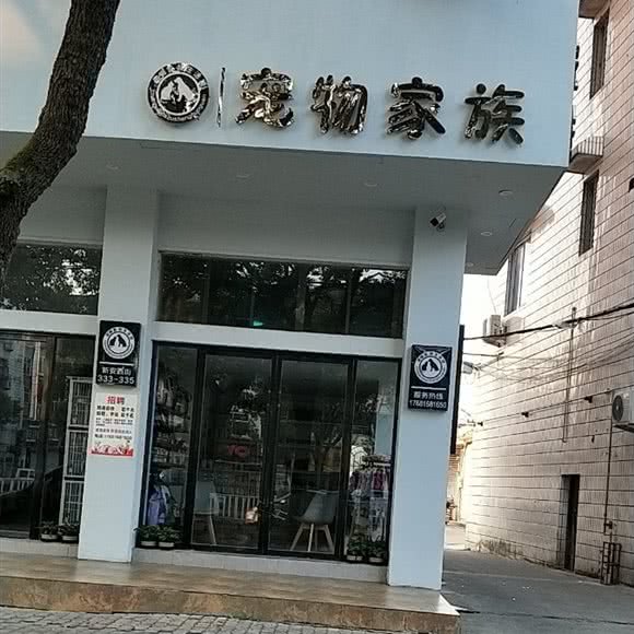 宠物家族:台州市路桥区花鸟市场附近