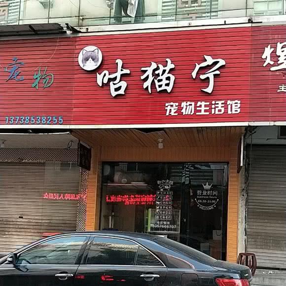 咕猫宁:台州市路桥区花鸟市场附近