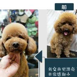 Bingo 宠物生活馆:台州市临海市古城街道附近