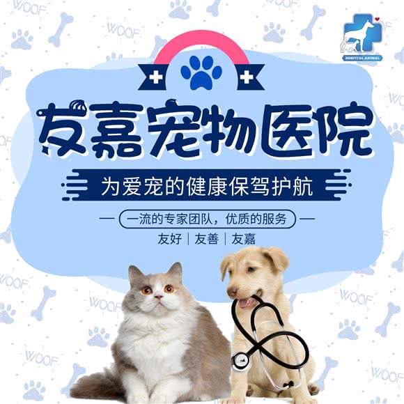 友嘉宠物医院:台州市临海市古城街道附近