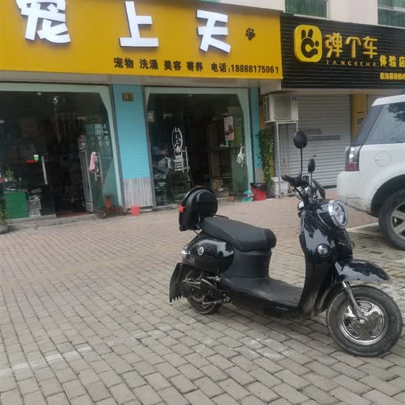 宠上天:台州市临海市大洋街道附近