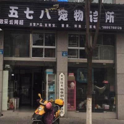 五七八宠物店诊所:丽水市莲都区万地广场附近