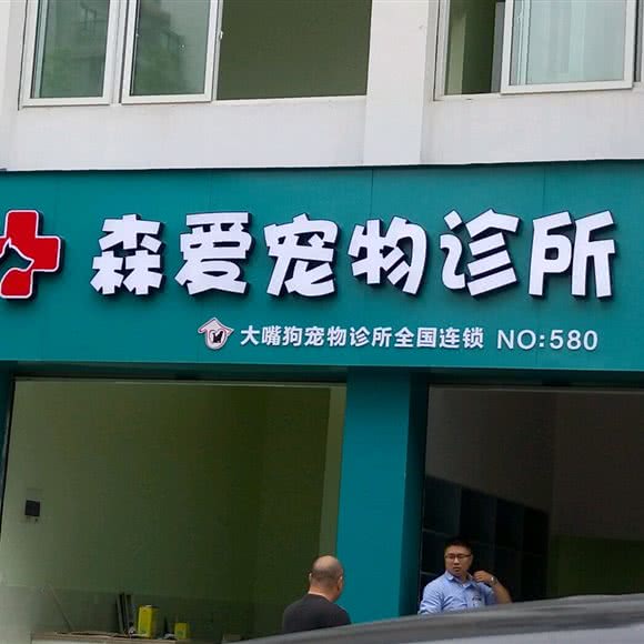 森爱宠物诊所:丽水市莲都区天宁附近