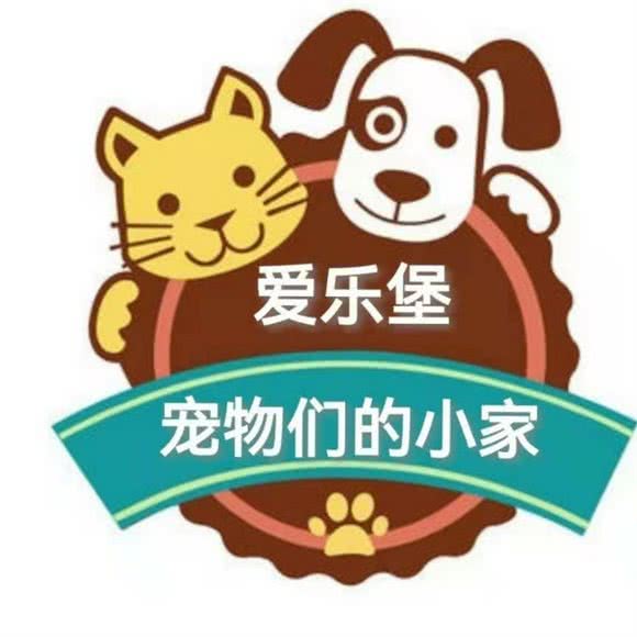 爱乐堡宠物:丽水市莲都区白云附近