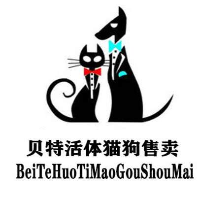 贝特高端宠物猫狗售卖(管庄店):北京城区昌平区北七家附近