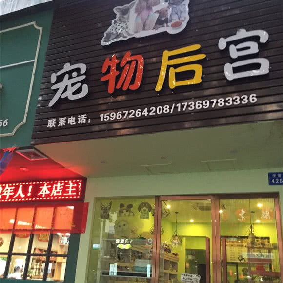 宠物后宫:丽水市莲都区宇雷路美食广场附近