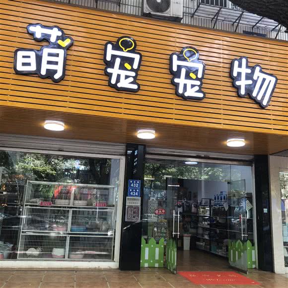 萌宠宠物狗:丽水市莲都区万丰附近