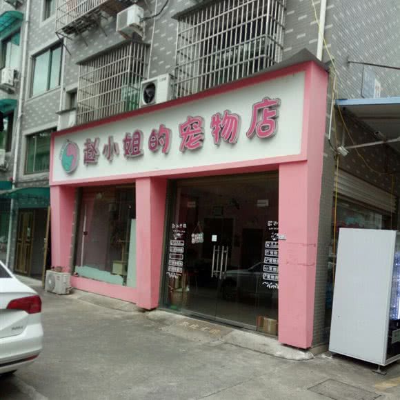 赵小姐的宠物店:丽水市莲都区厦河商圈附近