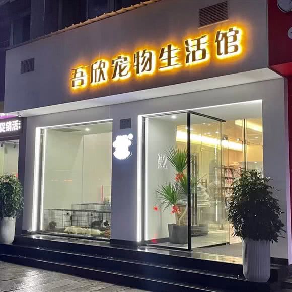 吾欣宠物生活馆:丽水市莲都区水阁附近