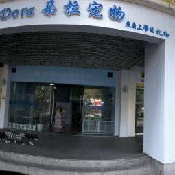 朵拉宠物生活馆:丽水市莲都区花园路附近