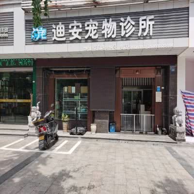 迪安宠物诊所:丽水市莲都区花园路附近