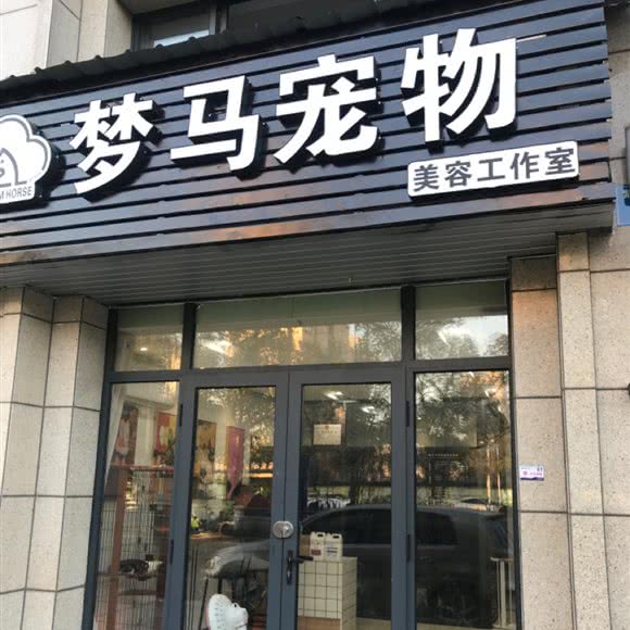 梦马宠物美容工作室:丽水市莲都区紫金路附近