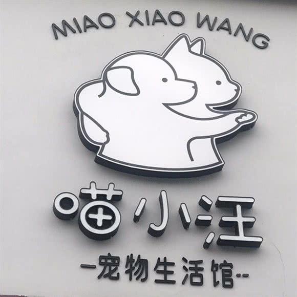 喵小汪宠物生活馆:丽水市莲都区处州府城附近