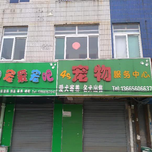 宠爱宠哦:合肥市瑶海区长江东路附近