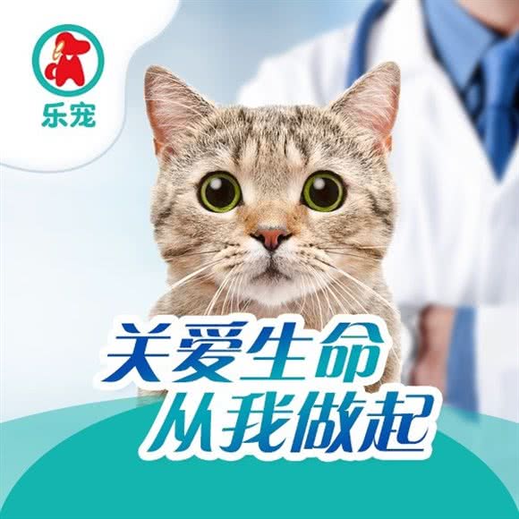 乐宠动物医院:北京城区昌平区北七家附近