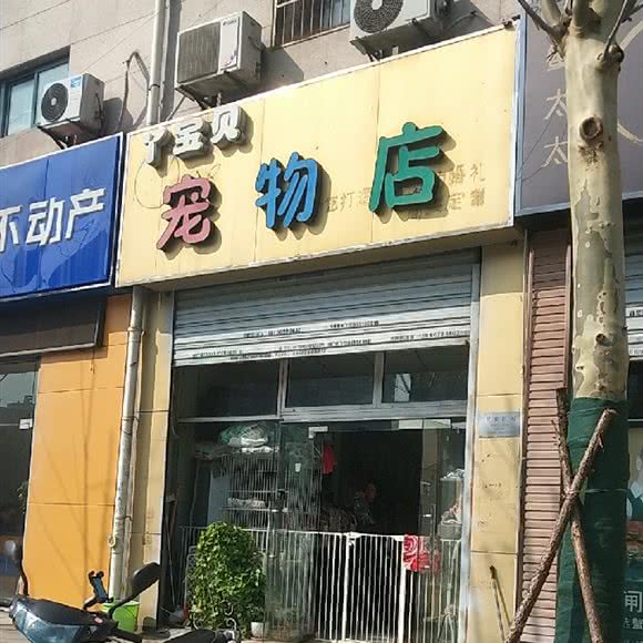 丫宝贝宠物店:合肥市瑶海区和平路商业区附近