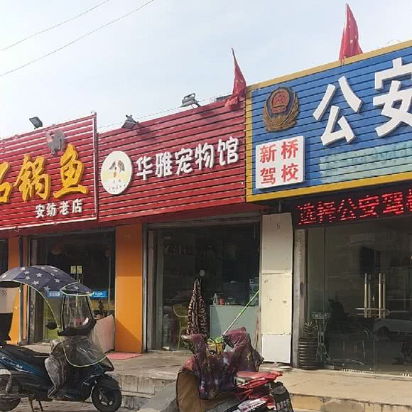 华雅宠物馆:合肥市瑶海区和平路商业区附近