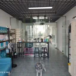 宠wo宠窝萌宠驿站:合肥市瑶海区新亚汽车站附近