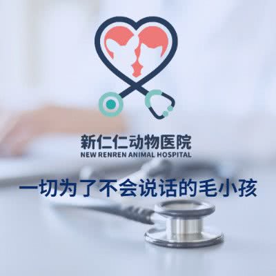 新仁仁动物医院(北七家分院):北京城区昌平区北七家附近