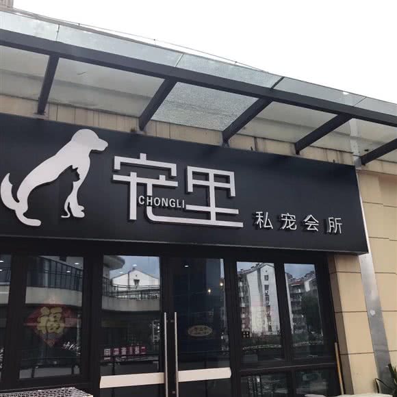 宠里猫狗萌宠专售形象店:合肥市瑶海区新亚汽车站附近