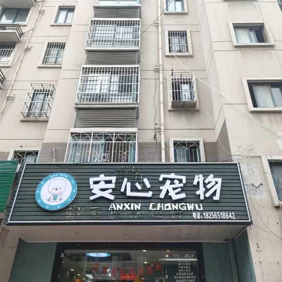 安心宠物:合肥市瑶海区元一名城附近