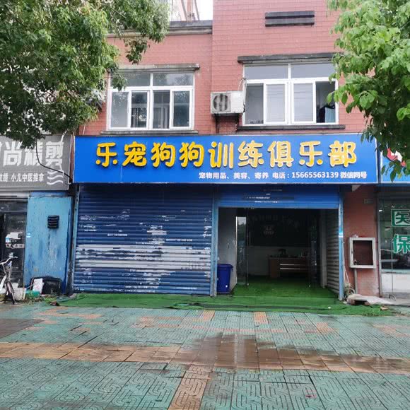 乐宠狗狗宠物俱乐部:合肥市瑶海区龙岗路附近