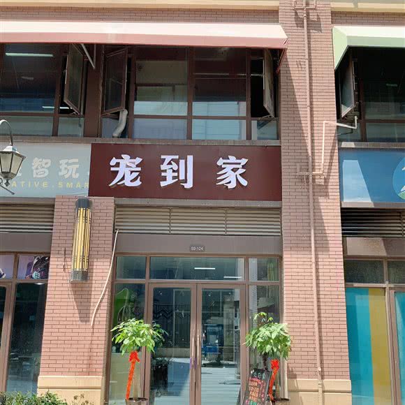 宠到家宠物店:合肥市瑶海区龙岗路附近