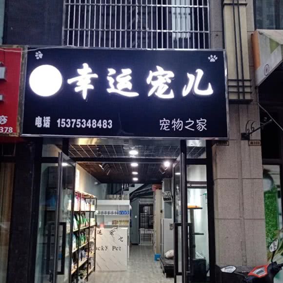 幸运宠儿:合肥市瑶海区龙岗路附近