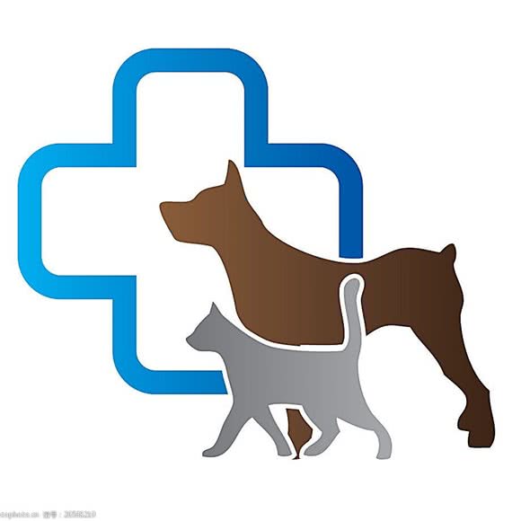 爱轩宠物医院:合肥市瑶海区龙岗路附近