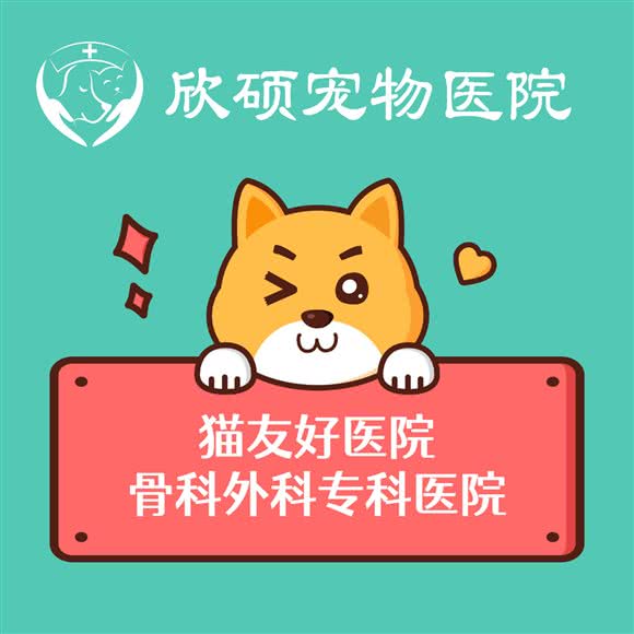 欣硕宠物医院?骨科外科猫友好医院:合肥市瑶海区龙岗路附近