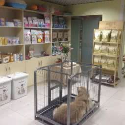 天天靓宠之家宠物服务中心:北京城区昌平区沙河附近