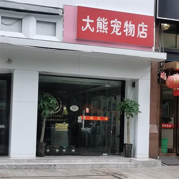 大熊宠物店:合肥市瑶海区长江东大街附近
