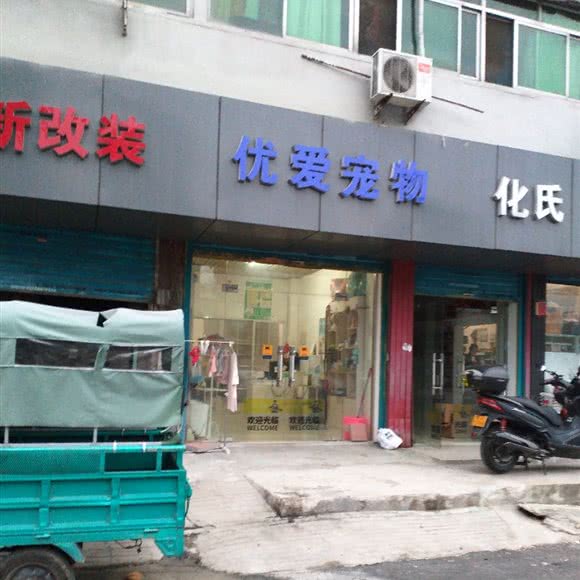 优宠宠物:合肥市瑶海区长江东大街附近