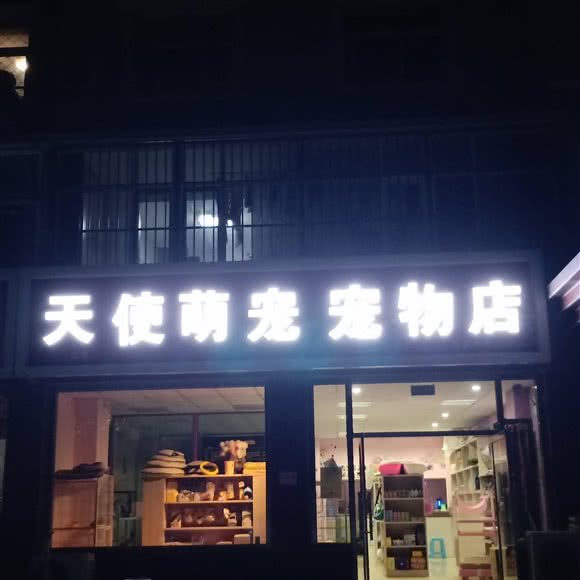 天使萌宠宠物店:北京城区昌平区沙河附近