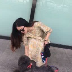 这里有家(宠物店):合肥市瑶海区全椒路附近