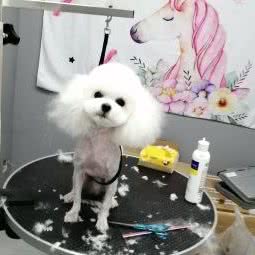 憨豆咖啡店:合肥市庐阳区淮河路步行街附近