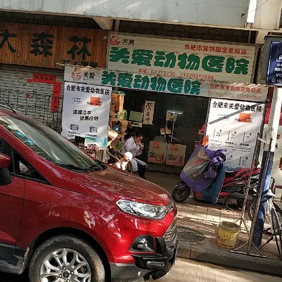 关爱动物医院-门诊部:合肥市庐阳区白水坝附近