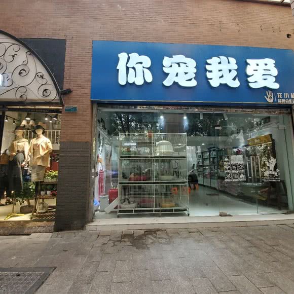 你宠我爱宠小格品牌合作社:合肥市庐阳区财富广场附近